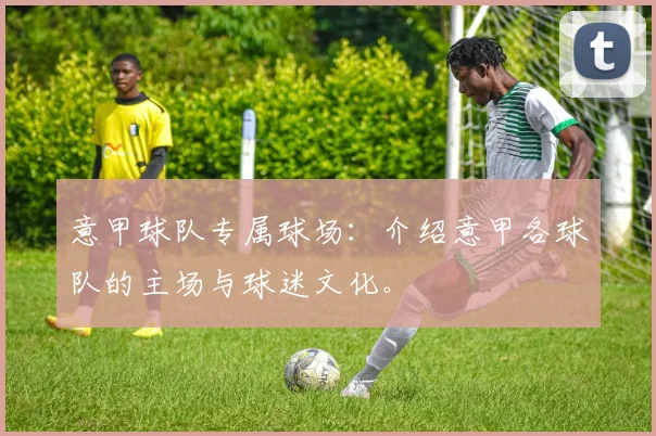 意甲球队专属球场:介绍意甲各球队的主场与球迷文化。