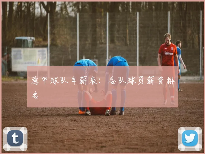 意甲球队年薪表：各队球员薪资排名