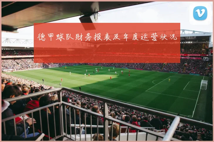 德甲球队财务报表及年度运营状况