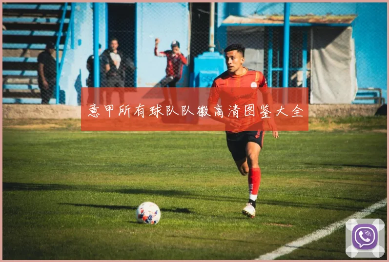 意甲所有球队队徽高清图鉴大全