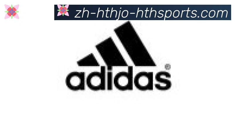 华体会体育登录入口合作伙伴